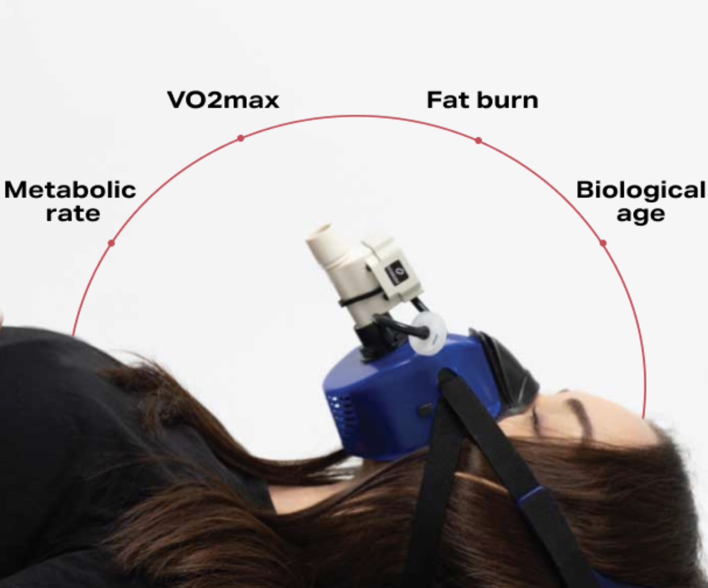 wellness program services in philadelphia